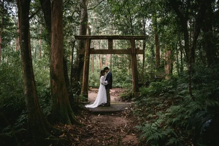The best places to elope - Yakushima island in Japan