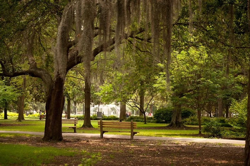 best places to elope in the us - savannah