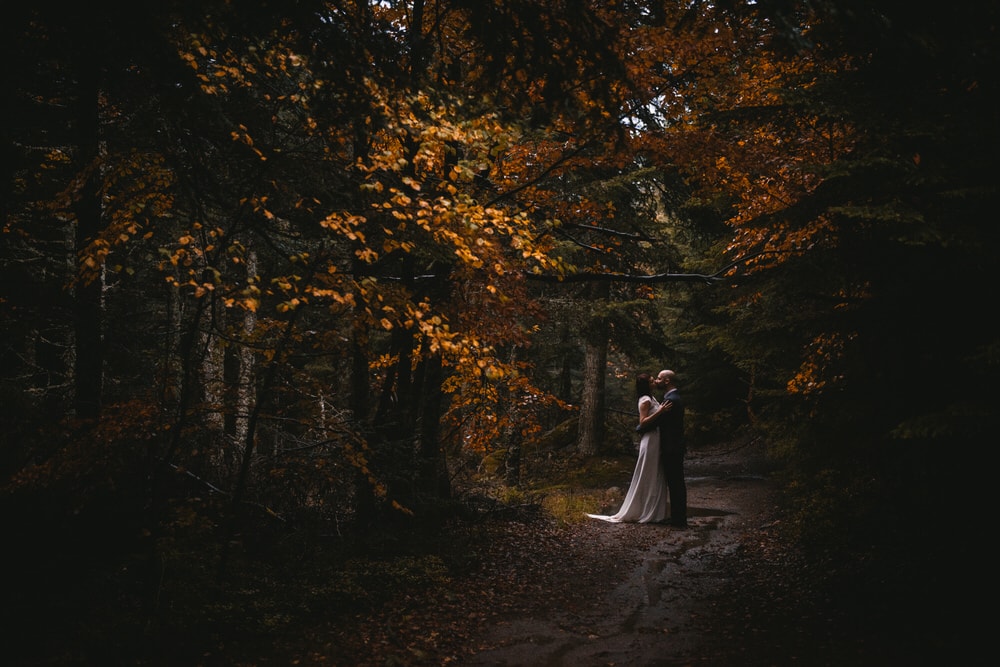 France elopement example - ceremony in the forests of Auvergne