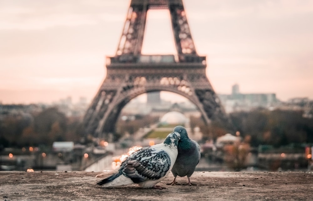 elopement packages in paris, france