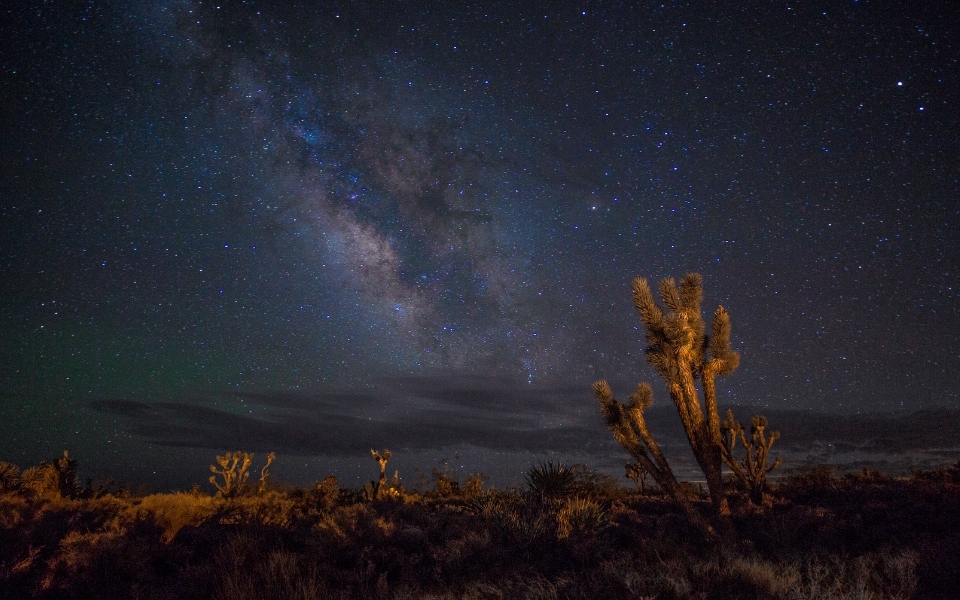 Activities to do on your California elopement - night photography at Joshua Tree