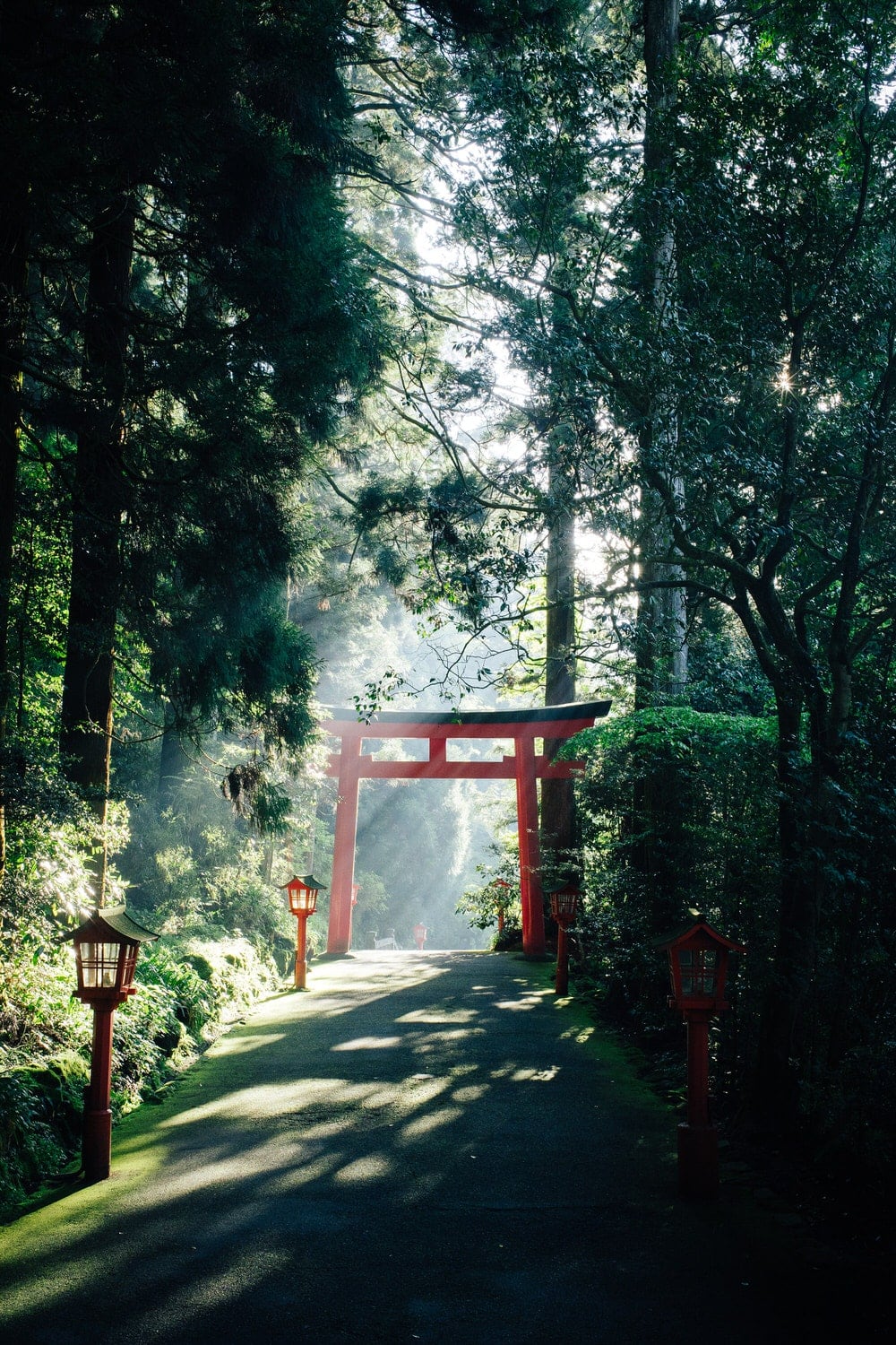 When to elope in Japan