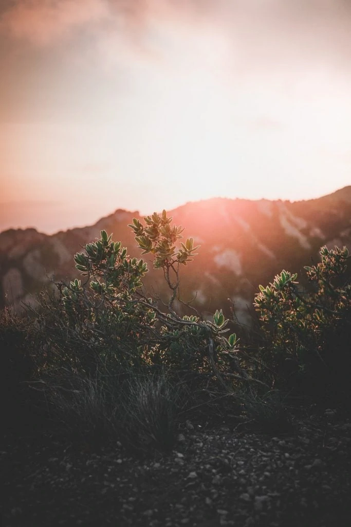 3 days Spain elopement package