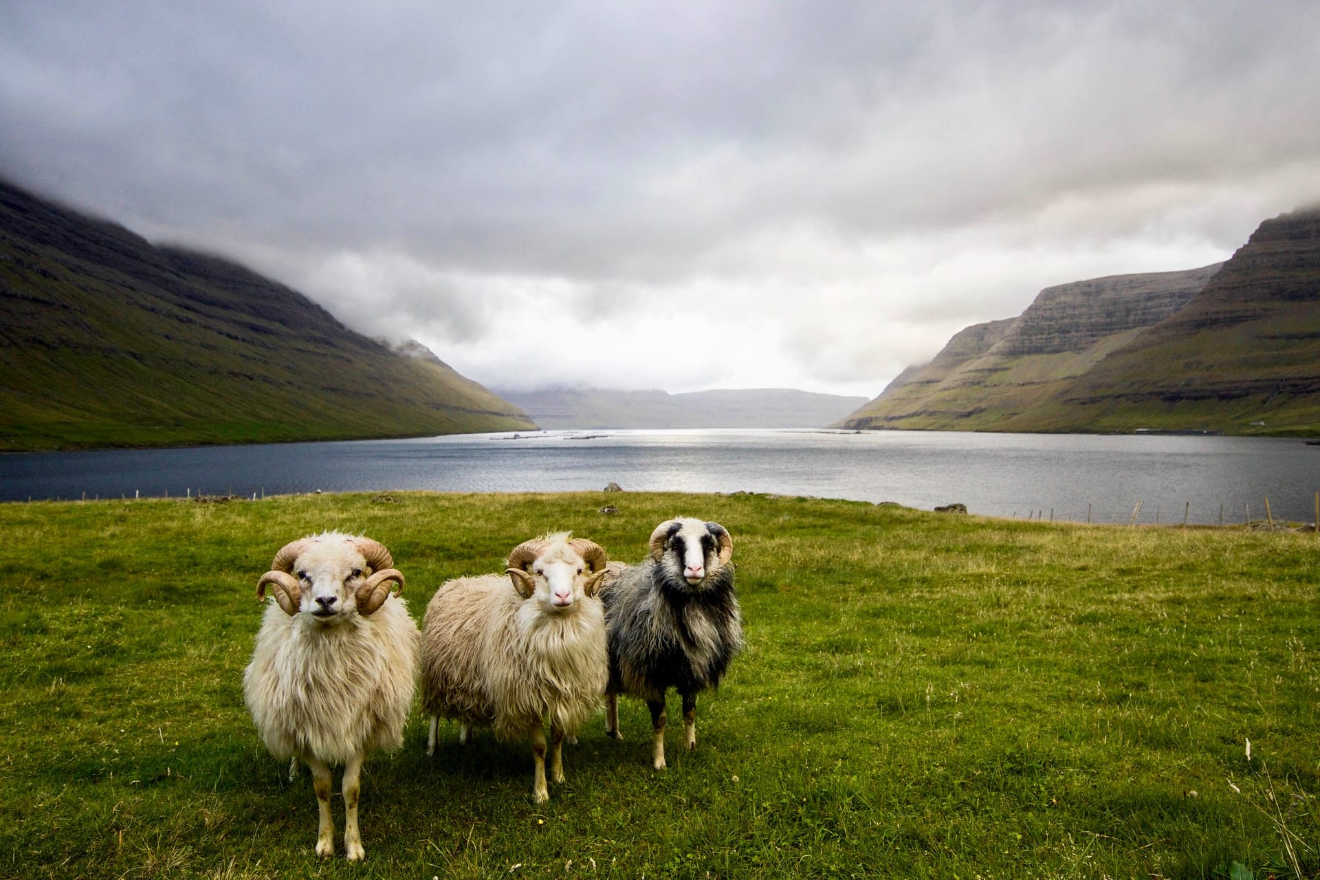 How to elope in the Faroe Islands - the Ultimate guide