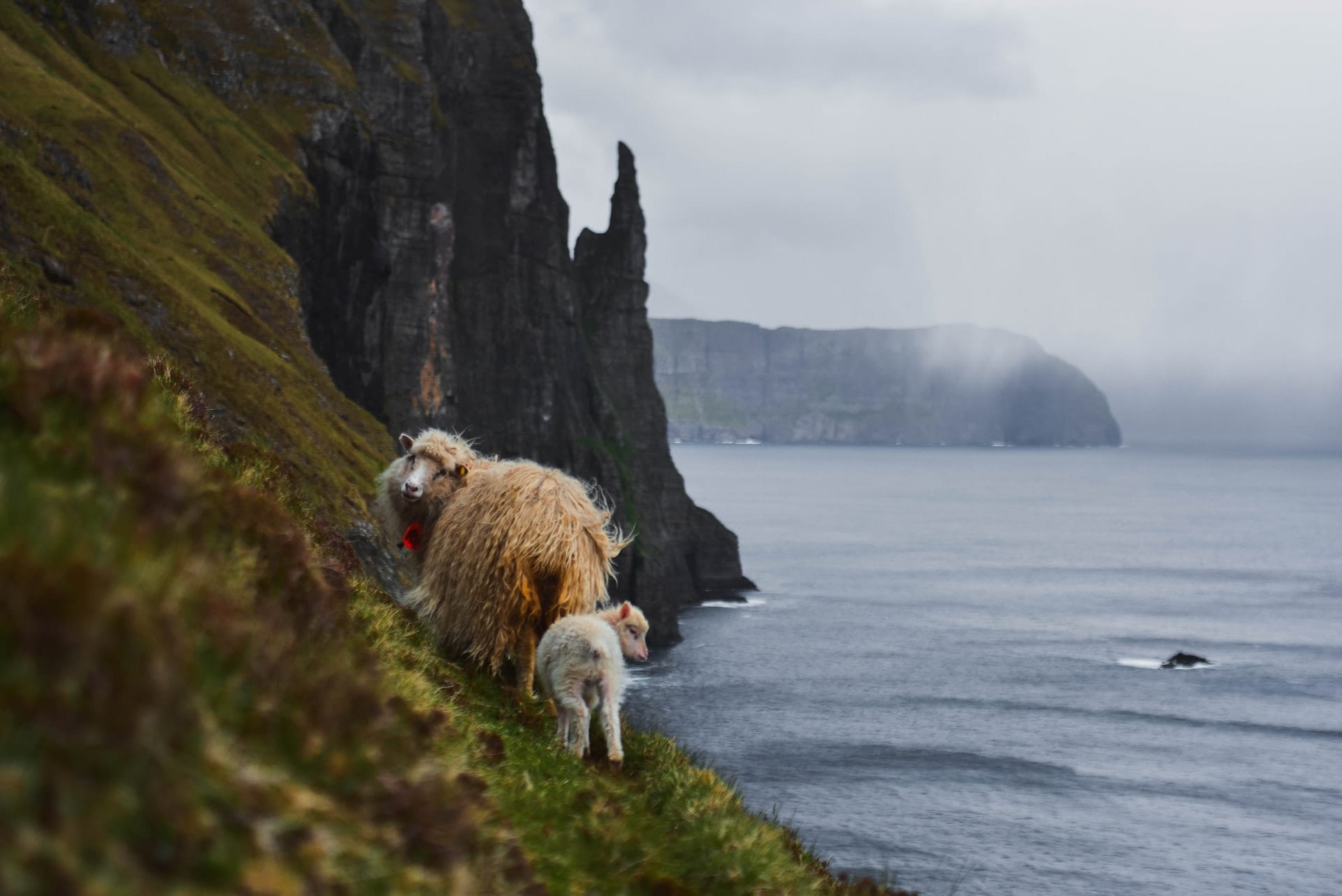 Faroe Islands elopement packages