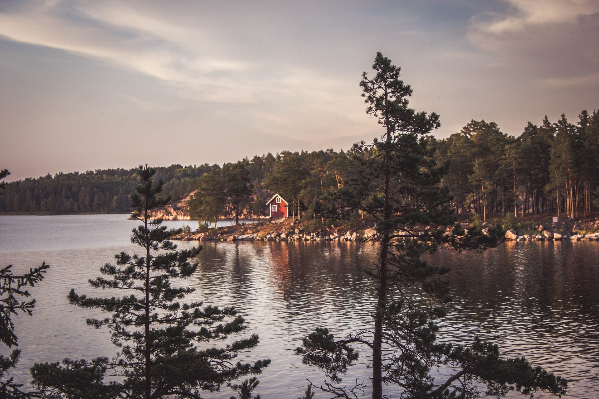 How to elope in Sweden - the ultimate guide