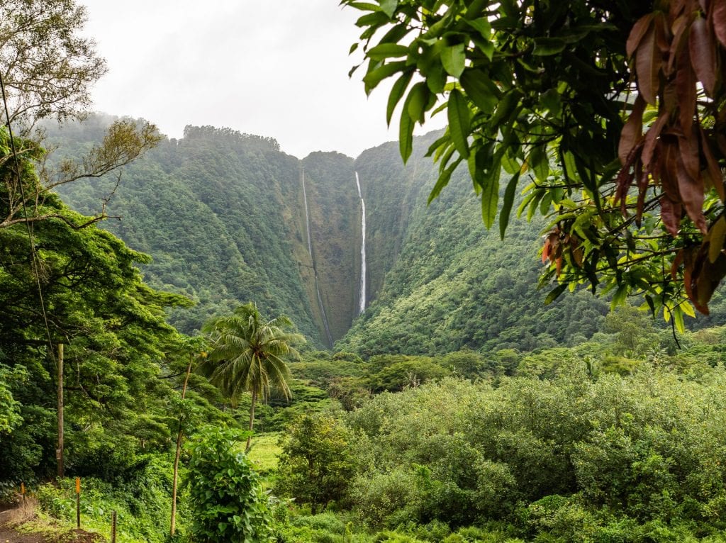 hikes for an Hawaii elopement - Hi’Ilawe Falls