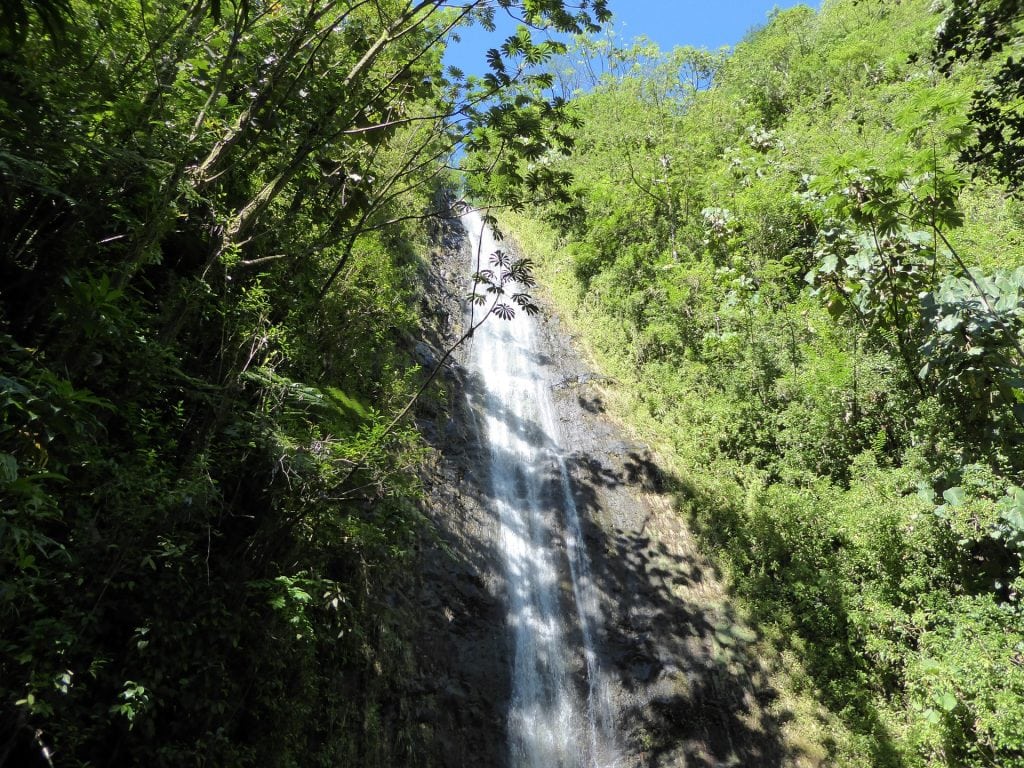 hikes for an Hawaii elopement - Manoa Falls