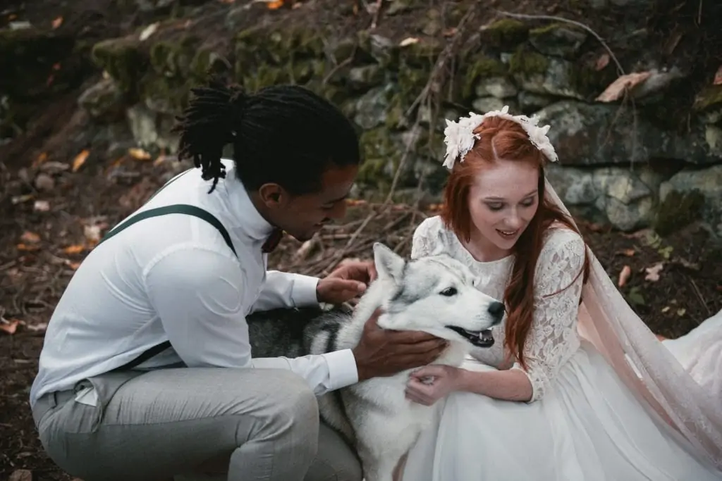 The ultimate guide to take your dog with you on your elopement