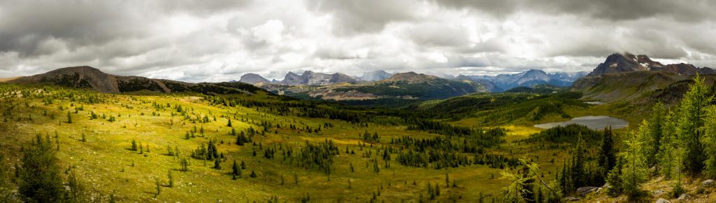 Where to elope in Banff - Healy Pass hike