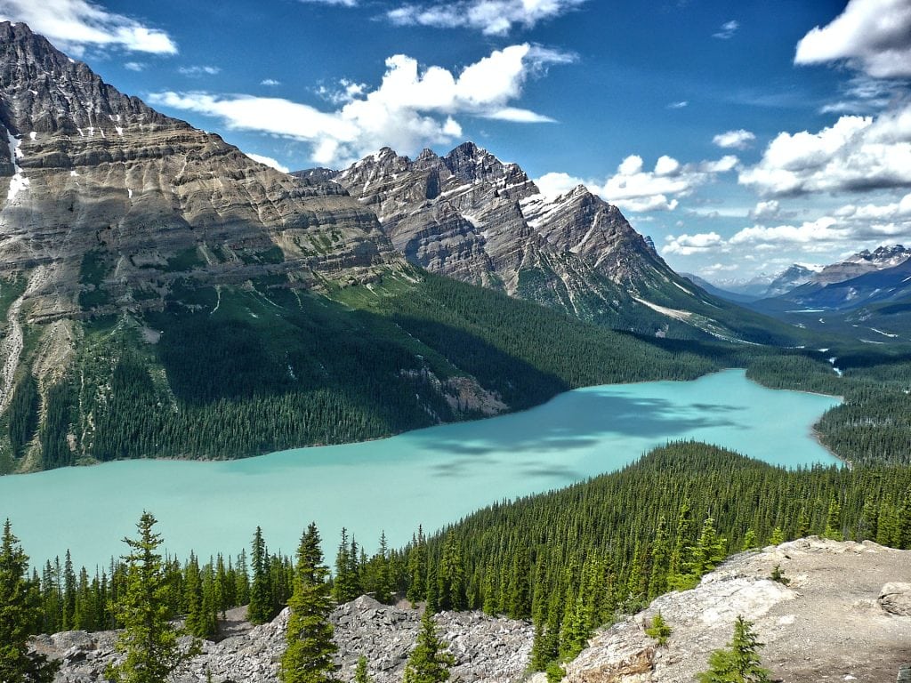 Where to get married in Banff - Peyto Lake