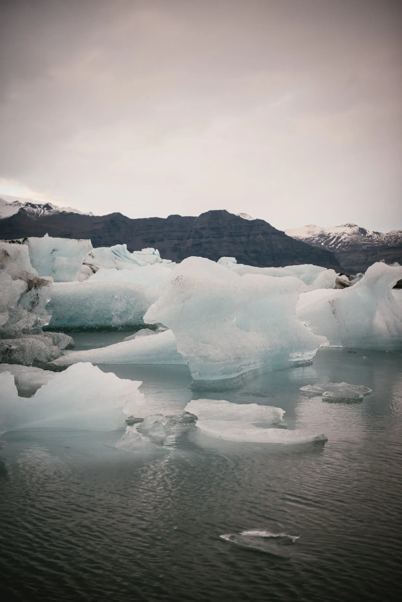 Iceland elopement by a glacier