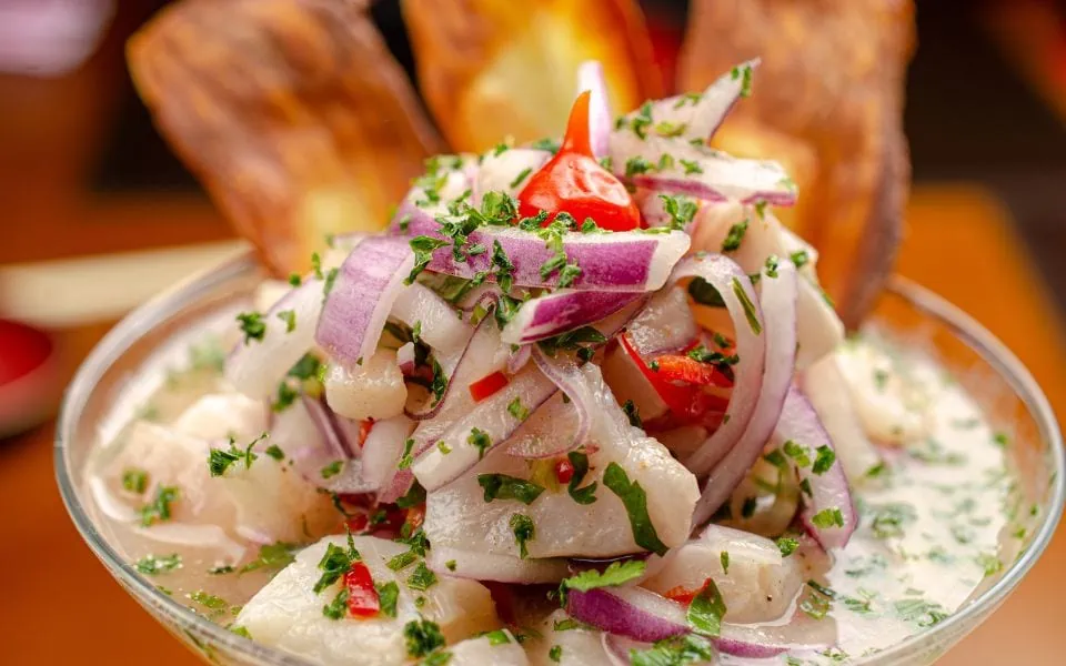 Traditional food to try on your Costa Rica elopement - Ceviche