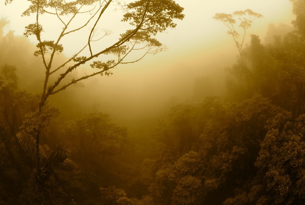 Costa Rica elopement package - 8 hours