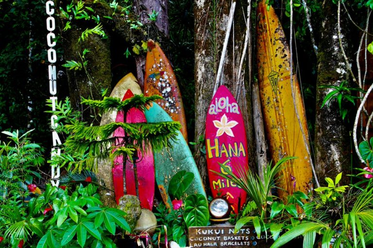 The 5 Best Maui Elopement Locations