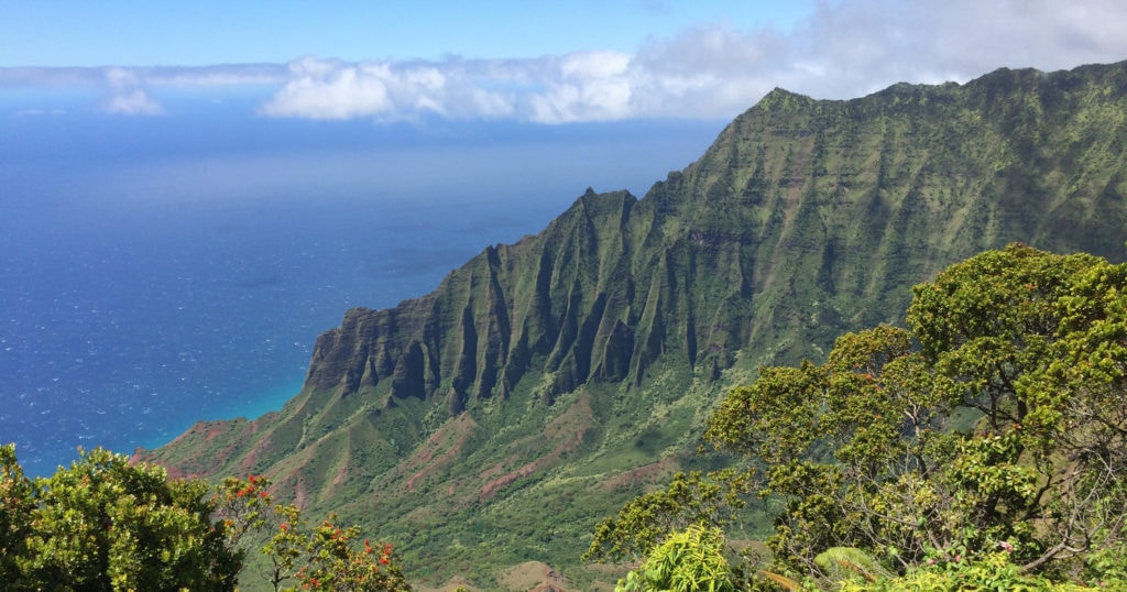 Where to elope in Kauai - Kalepa ridge trail