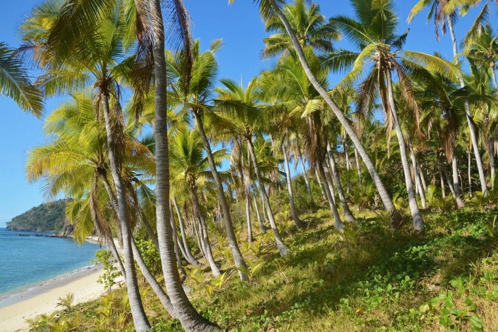 8 hours elopement package in Fiji