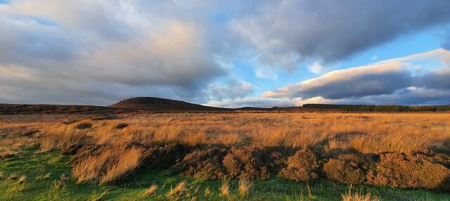 Hepburn moor at sunset in Northumberland National Park, one of the most beautiful places to elope in Edinburgh