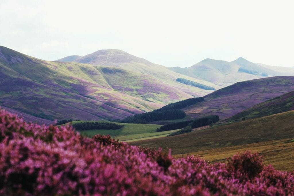 Pentland Hills, one of the most beautiful places to elope in Edinburgh