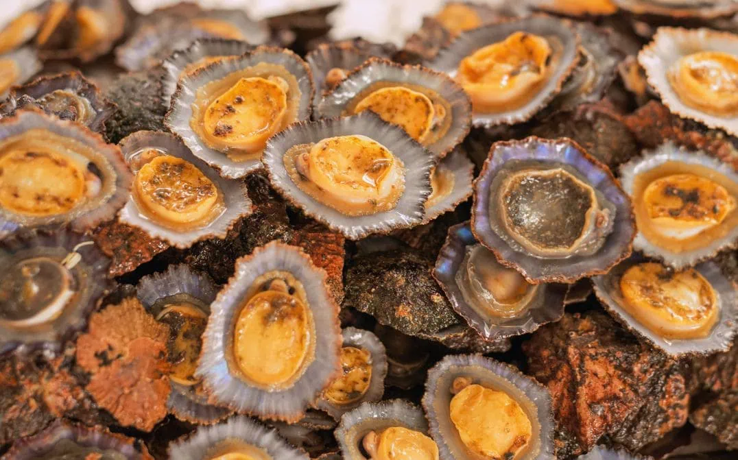 What to eat during your Azores elopement - Lapas Grelhadas