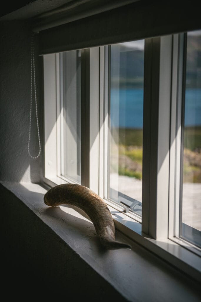 View on a horn by the window