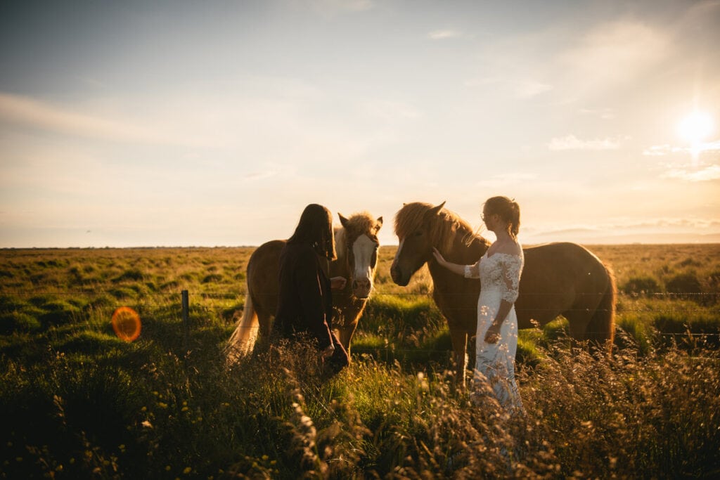 Same-sex couple petting Icelandic horses after their elopement ceremony
