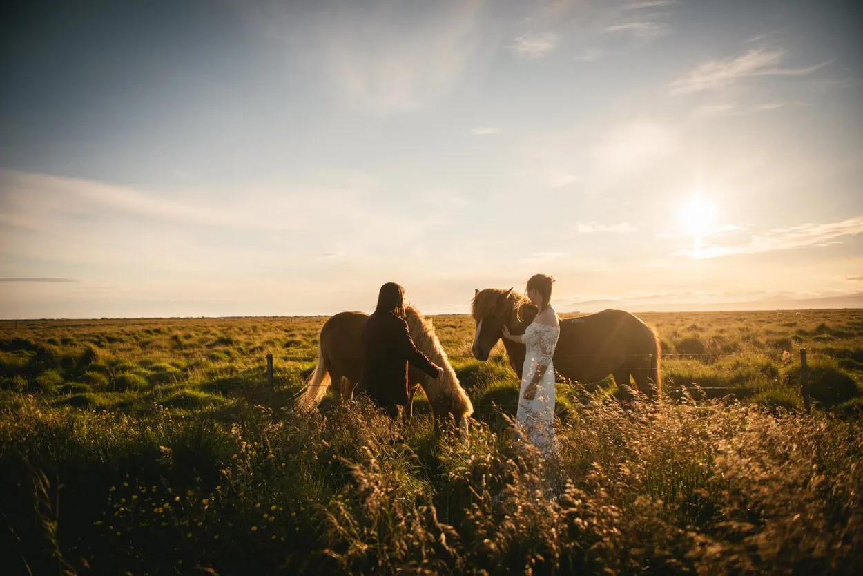 Same-sex couple petting Icelandic horses after their elopement ceremony