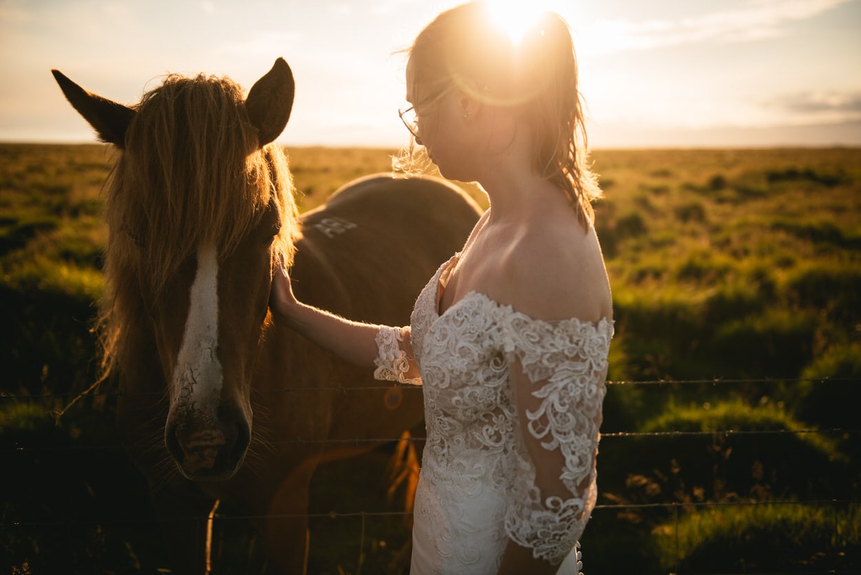 Same-sex couple petting Icelandic horses after their elopement ceremony