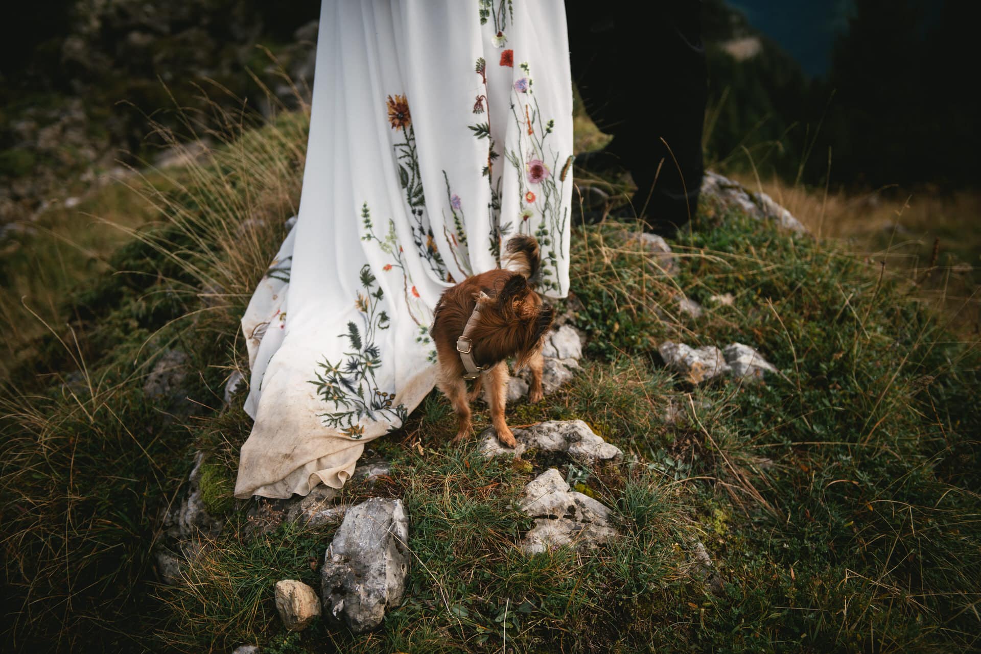 Couple walking in the mountains for an elopement photoshoot in Switzerland