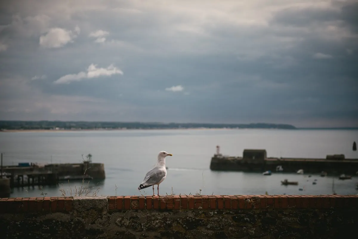 Day-after photoshoot of a couple after their elopement in Normandy