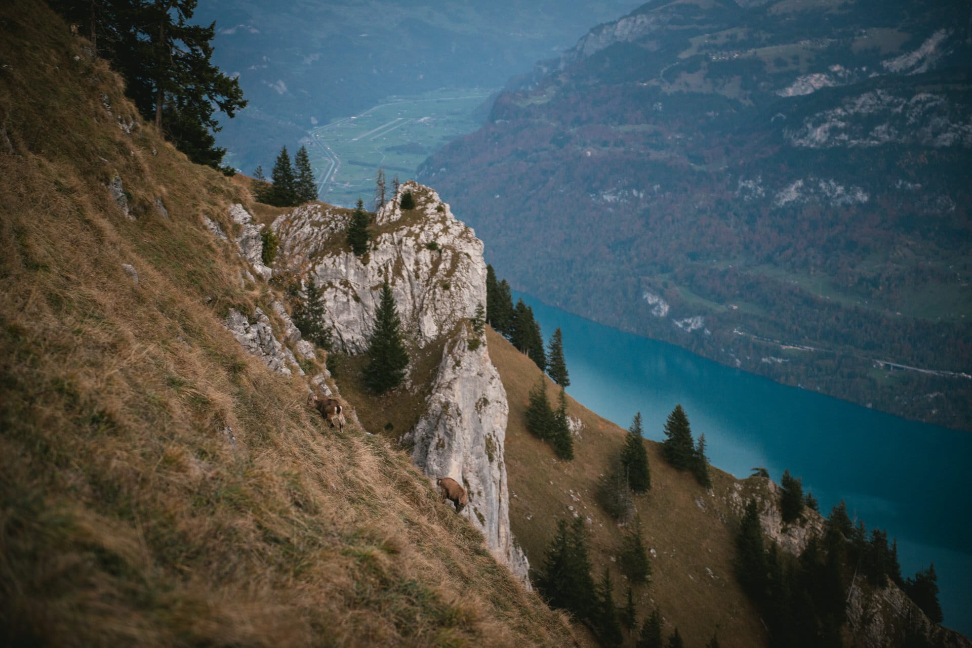 View on lake Brienz from Augstmatthorn