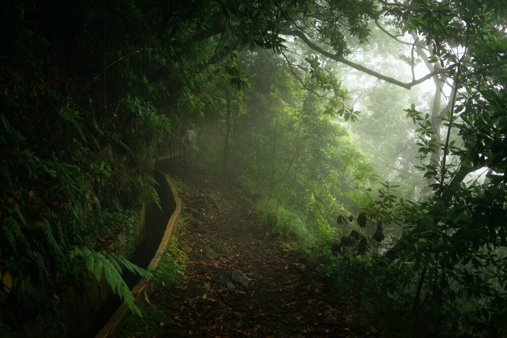 All-inclusive elopement packages in Madeira