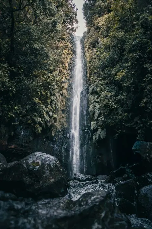 What to do during your Madeira elopement - Hike the 25 fontes