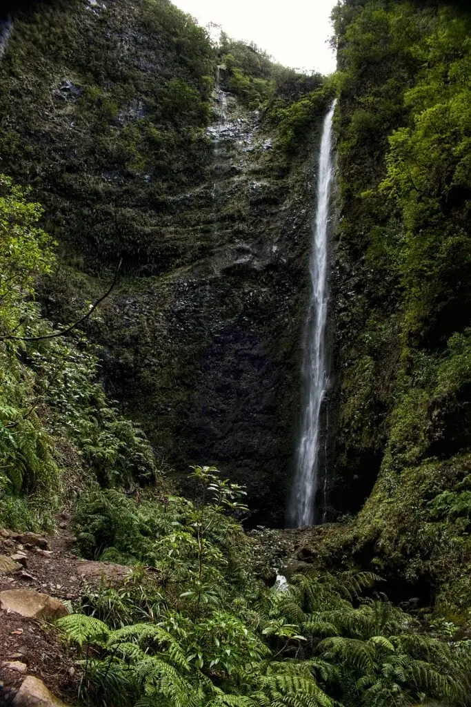 Where to elope in Madeira - Levada do Caldeirão Verde