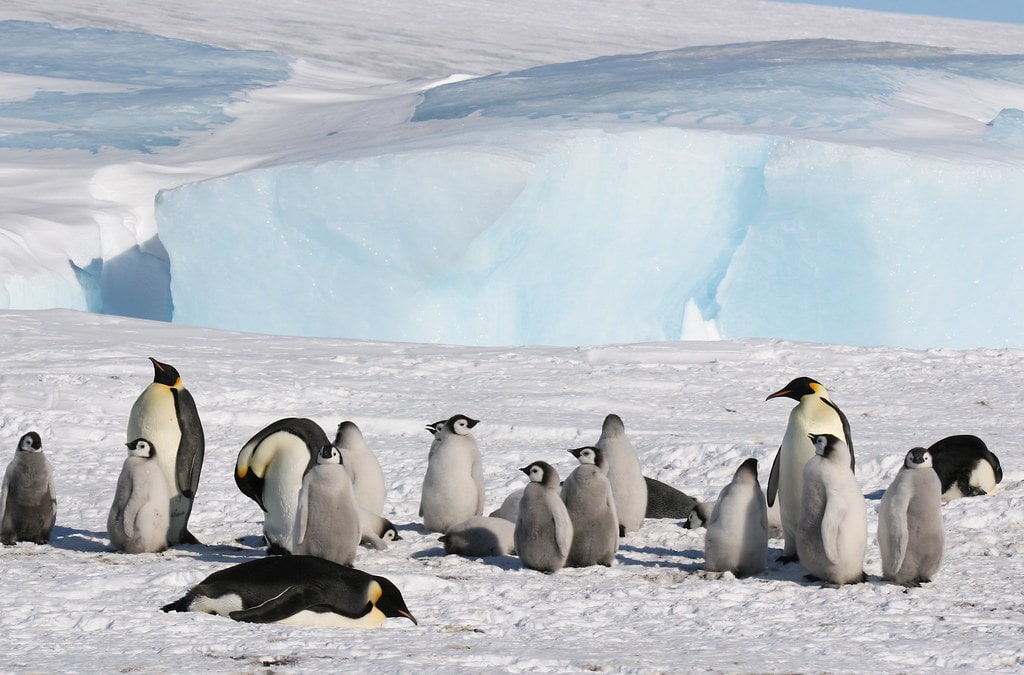 Where to elope in Antarctica - Snow Hill Island