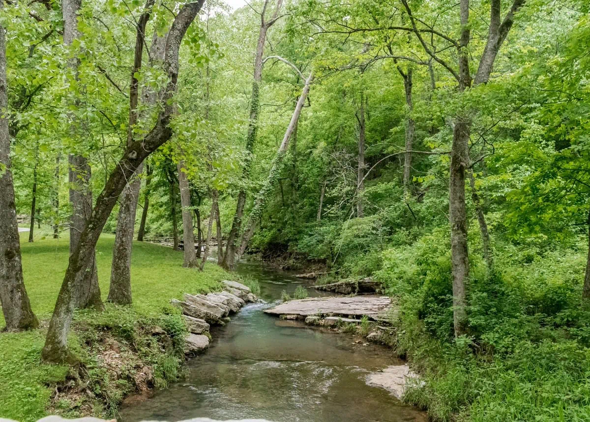 All-inclusive elopement package in Arkansas
