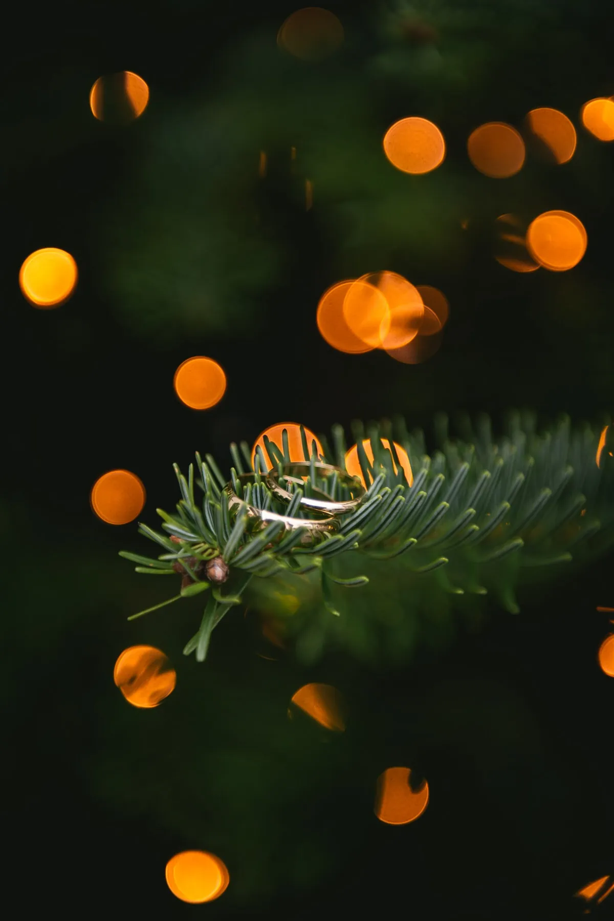 Rings details for a Christmas elopement