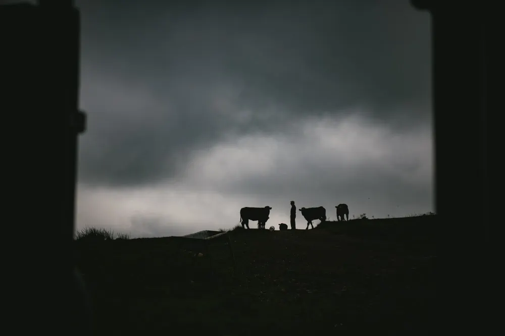 The couple's airbnb when they got ready before their elopement in Northern Ireland