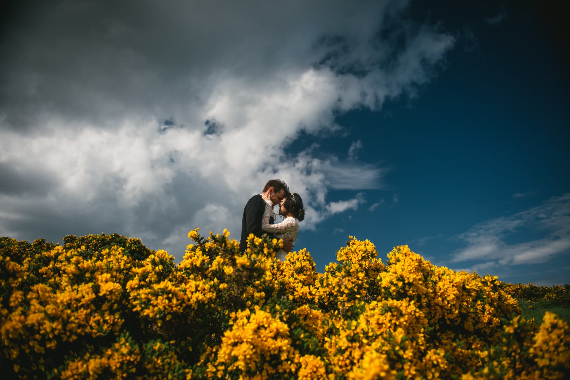 Magical shot of the couple surrounded by wildflowers in a meadow during their Northern Ireland elopement.