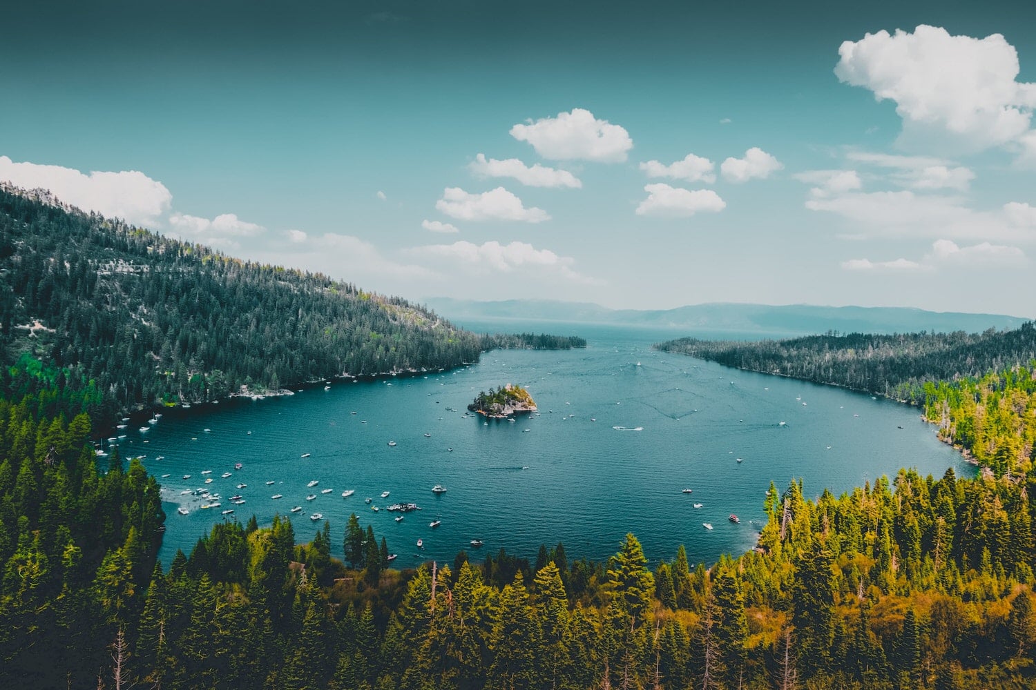 Serene Lake Tahoe Forest Elopement: Nature's Tranquil Embrace