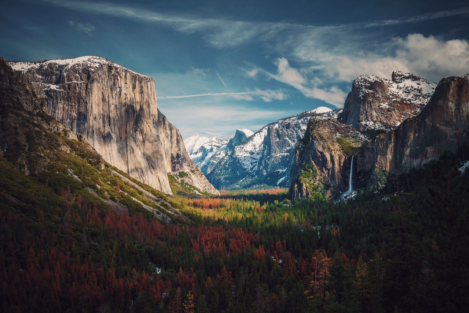 Majestic California Forest Elopement: Yosemite's Iconic Vistas