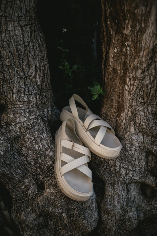 Shoes nestled in an olive tree, preparing for their Corfu elopement.