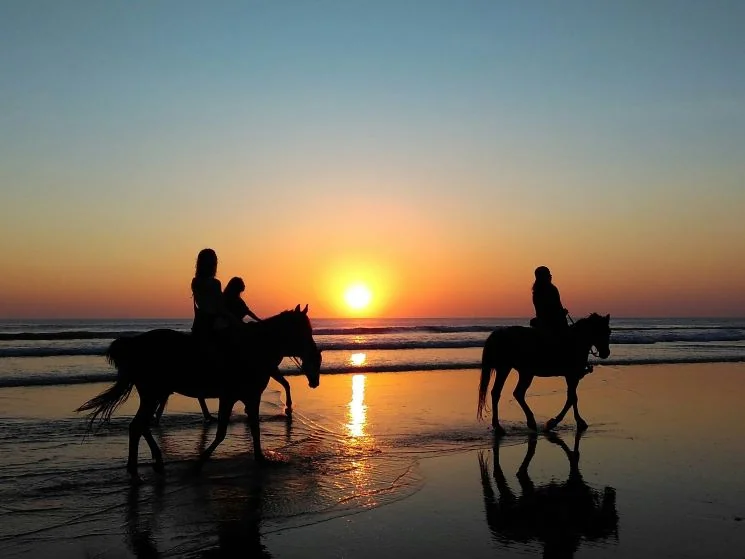 What to do in your Mauritius elopement - Sunset horseback riding