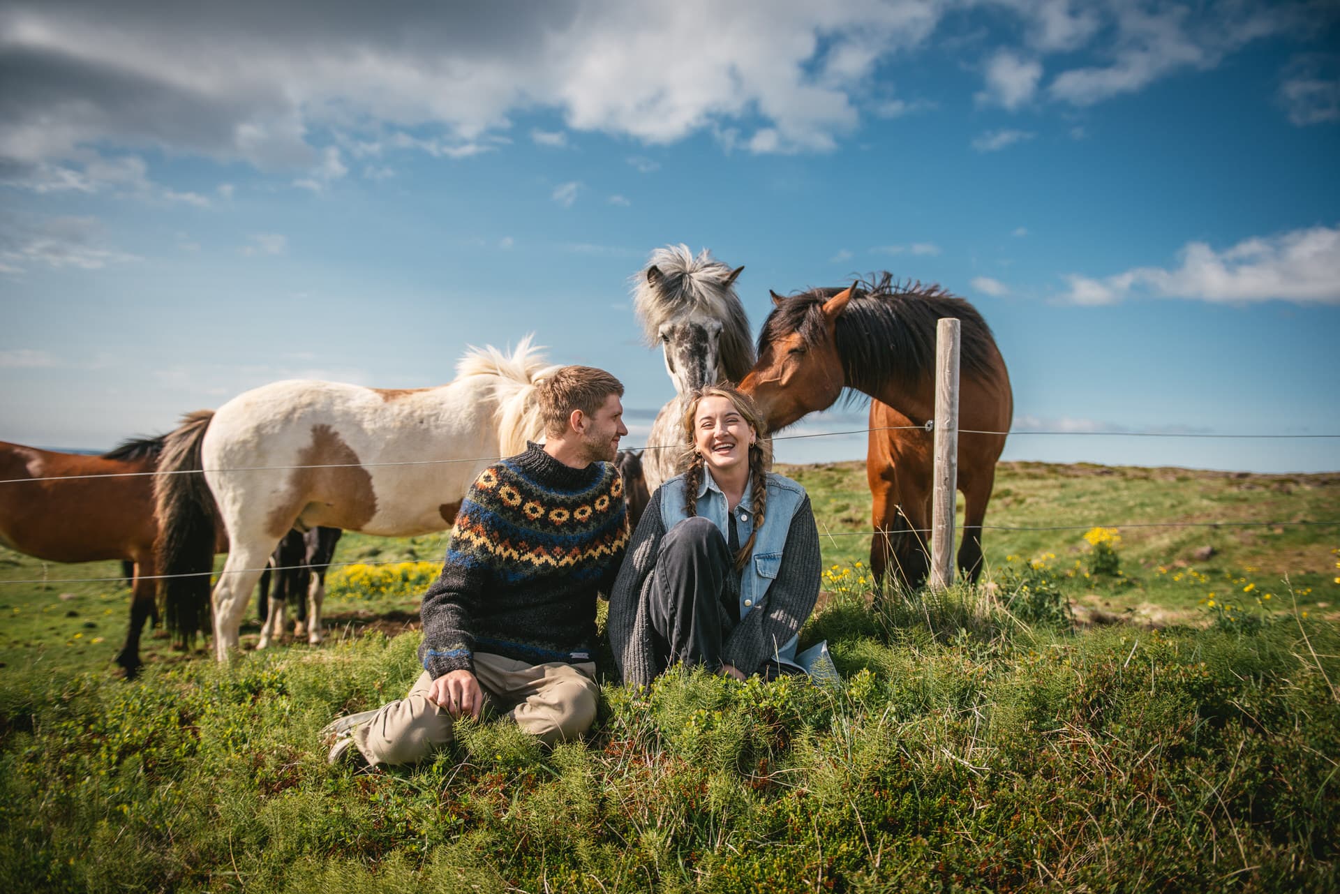 Majestic Icelandic horses join the couple's photoshoot in the Westfjords.