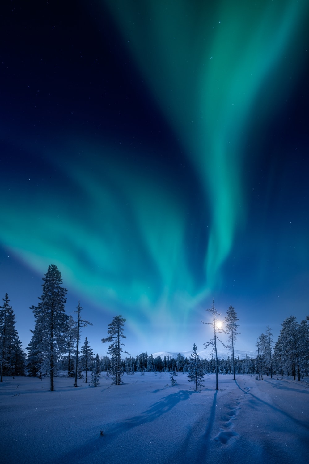 When to plan your northern lights elopement