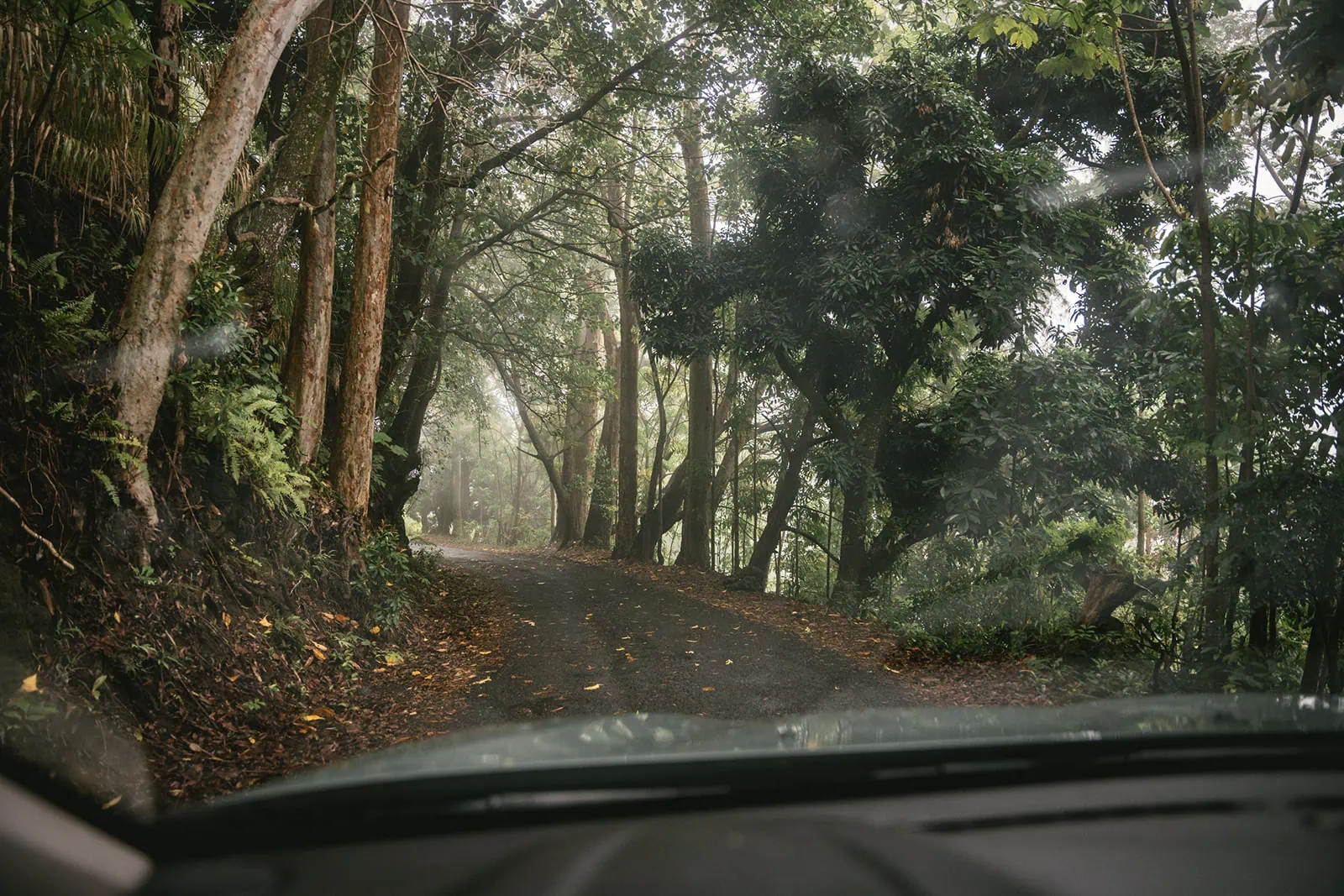 A road trip in French Polynesia