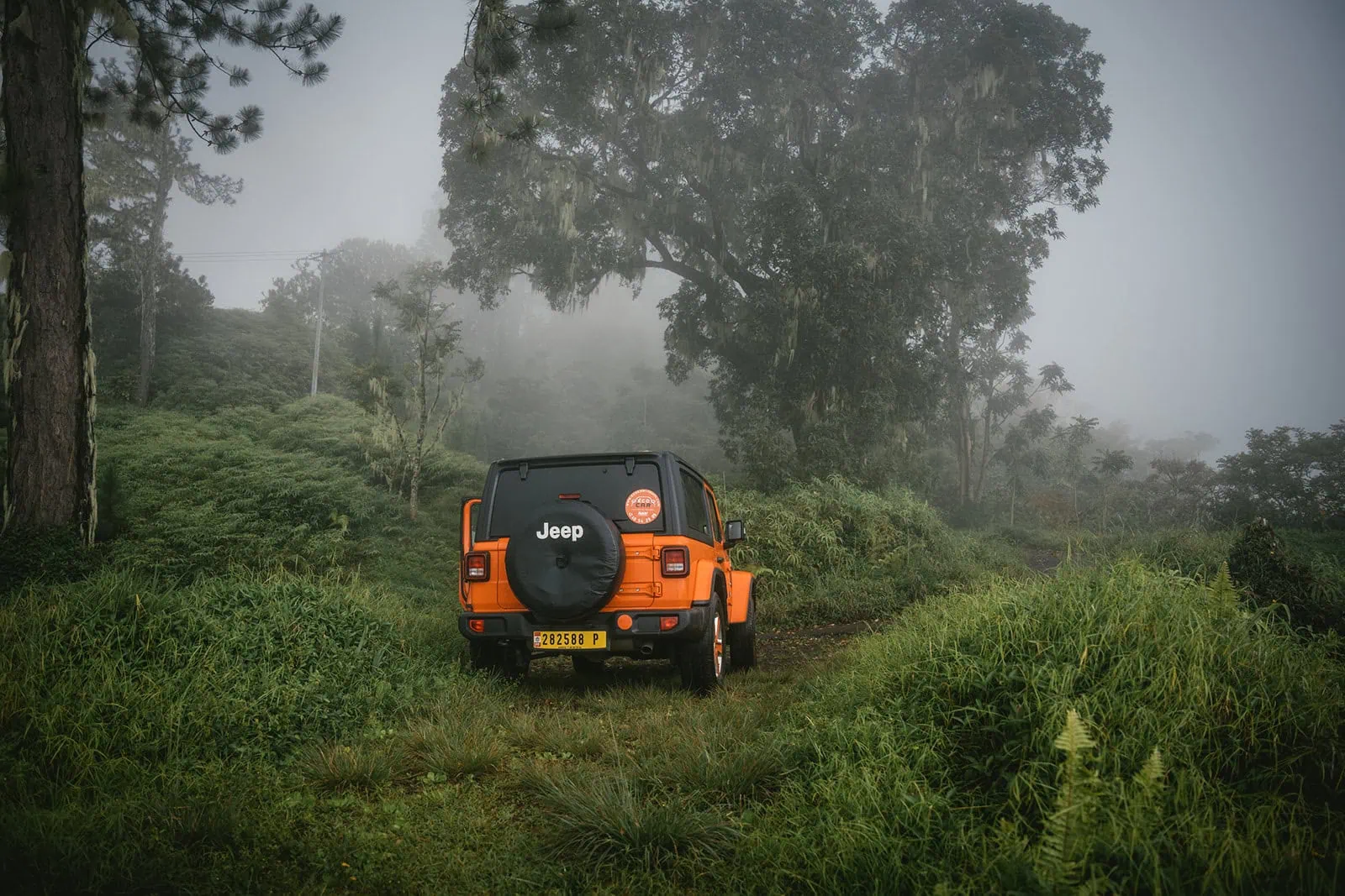 A French Polynesia elopement in a jeep