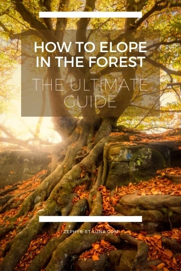 How to plan your forest elopement - the ultimate guide