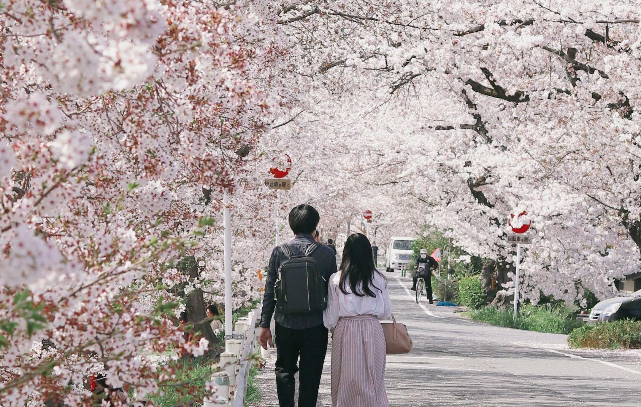 Elopement festivals ideas - Hanami