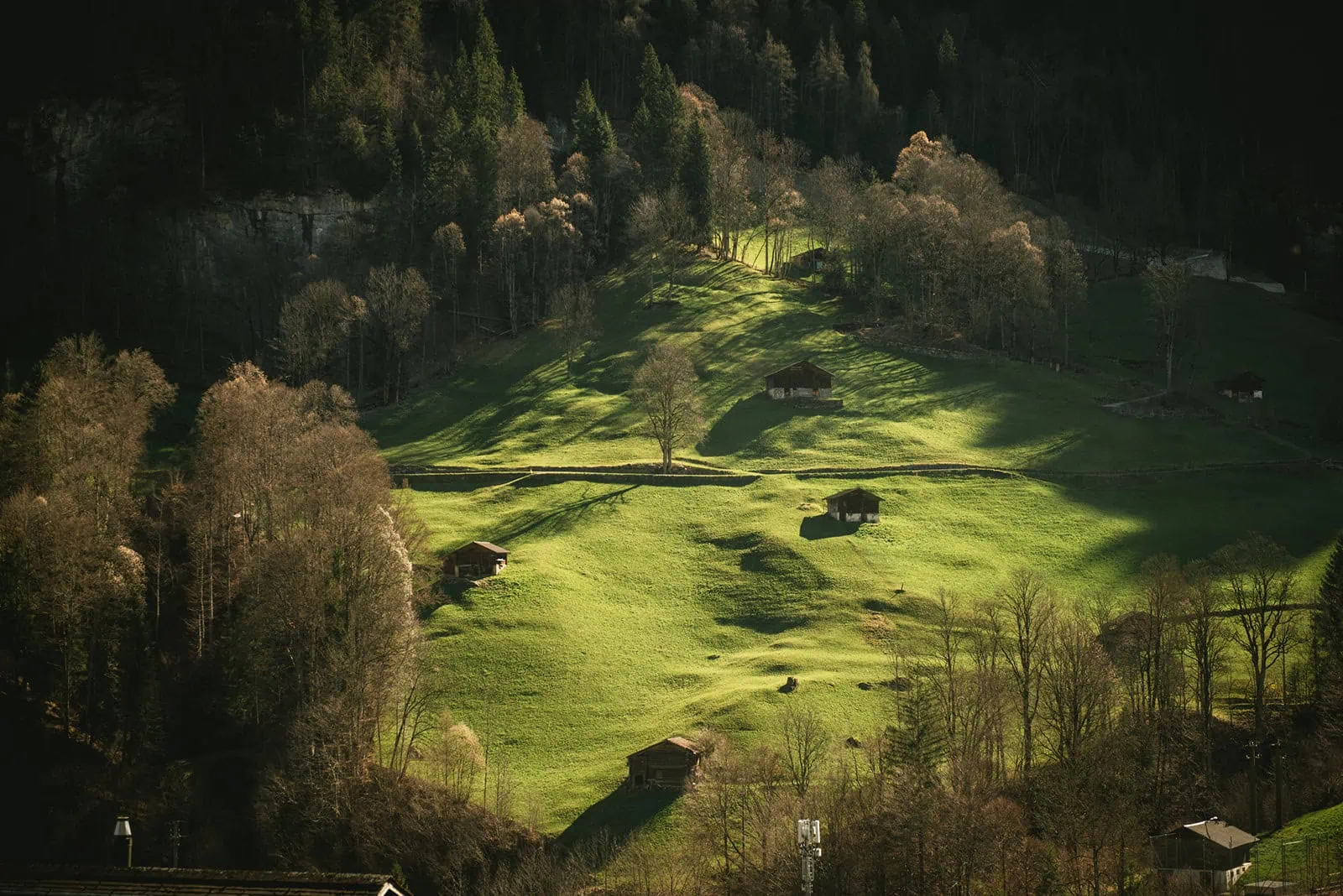 Switzerland elopement authentic view